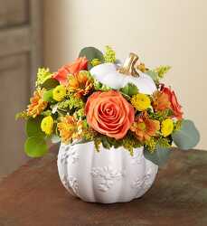 November Special 1 - Save $10 Flower Power, Florist Davenport FL
